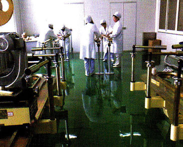 耐腐蝕地坪涂裝系統